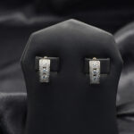 Luxe Shine Earrings