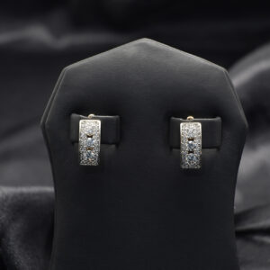 Luxe Shine Earrings