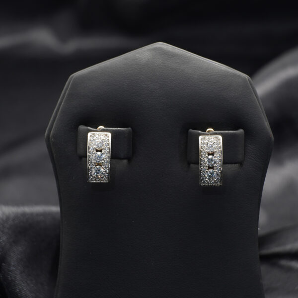 Luxe Shine Earrings