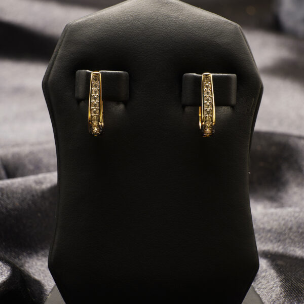Lustrous Duo Hoops